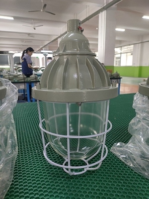 Apertura rotatoria ignifuga IP55 delle lampade protette contro le esplosioni di ATEX